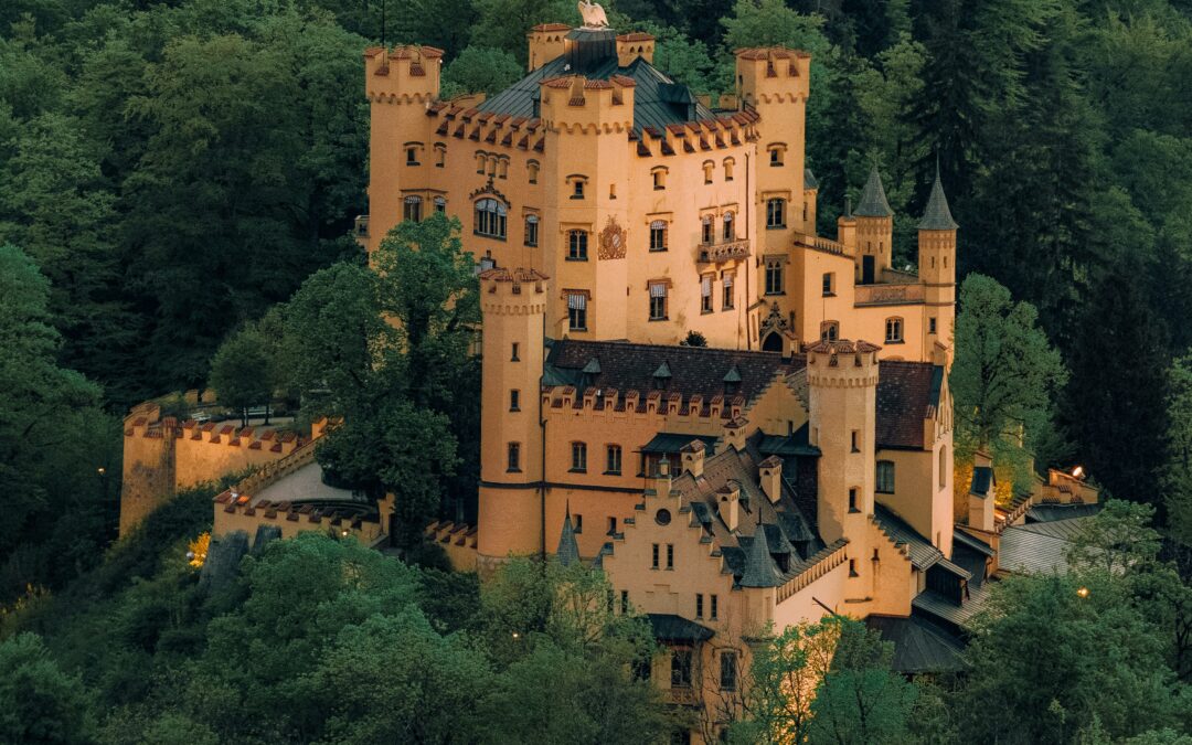braune Betonburg umgeben von Wald