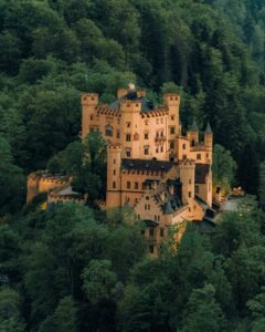 Titel Innere Burg braune Betonburg umgeben von Wald