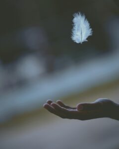 Friede im Herzen und im LAnd https://unsplash.com/de/fotos/flache-fokusfotografie-von-weissen-federn-die-in-die-hand-einer-person-fallen-FL6rma2jePU