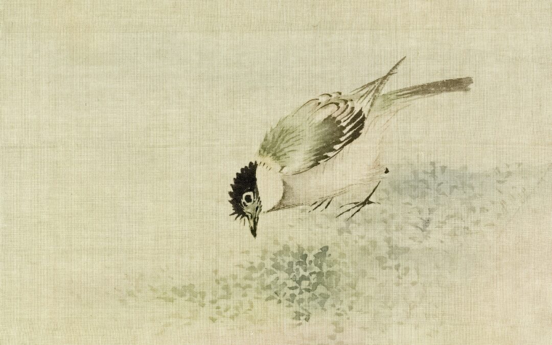 ein kleiner Vogel der am Boden pickt