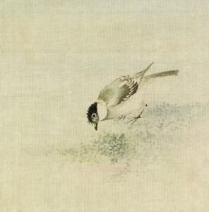 https://unsplash.com/de/fotos/ein-kleiner-vogel-der-am-boden-pickt-cSXnuUW5NZg