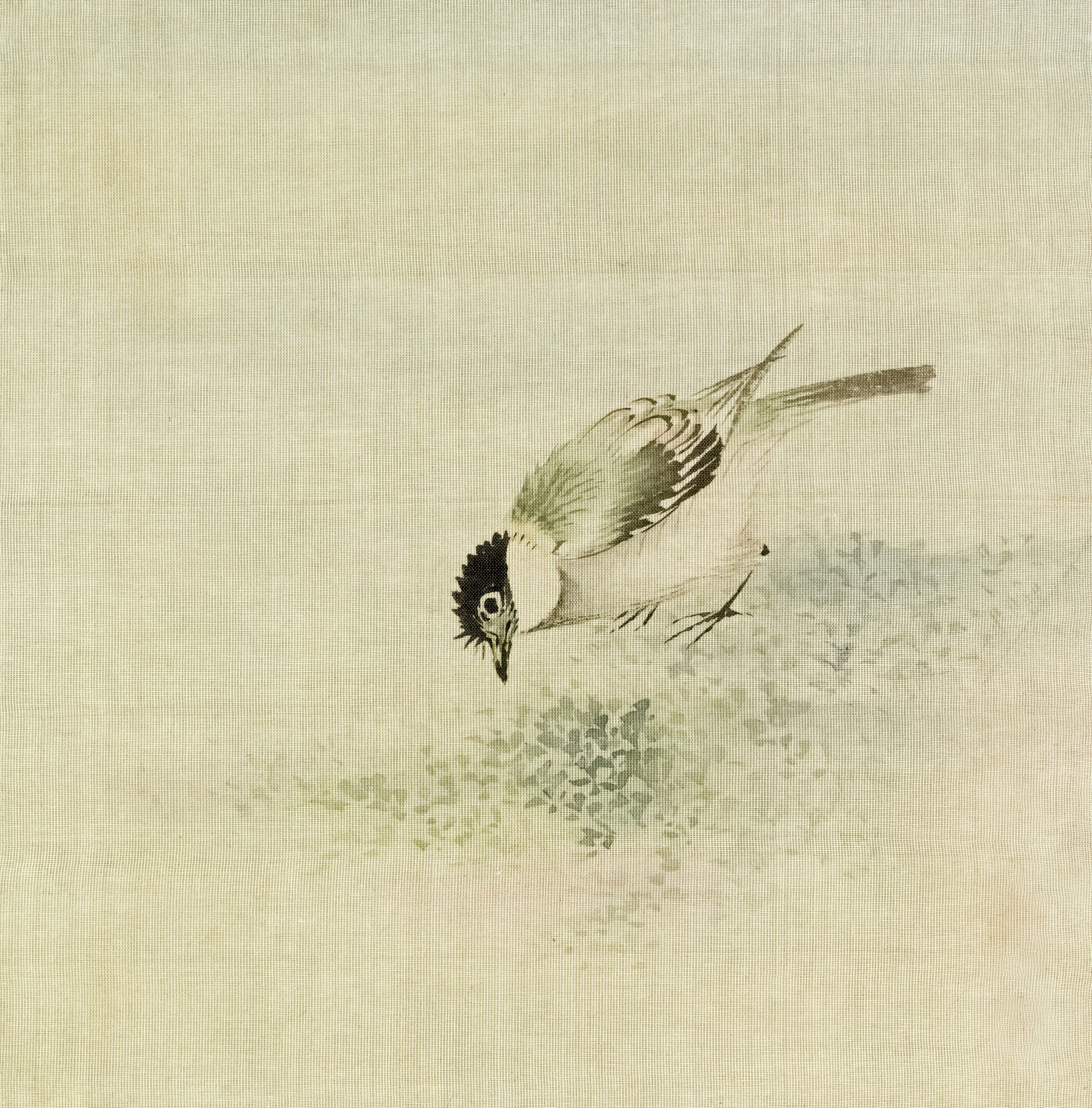 ein kleiner Vogel der am Boden pickt